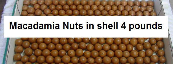 Macadamia Nuts 4 pounds envelope