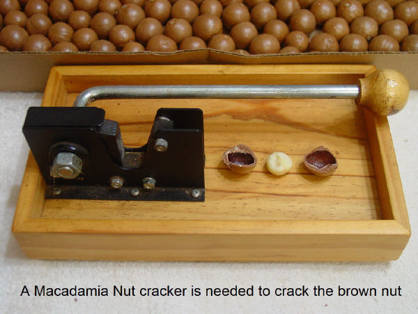 Macadamia Nut cracker - not included