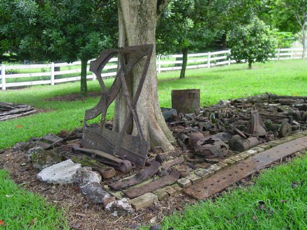 Macadamia Nut trees behind the relics