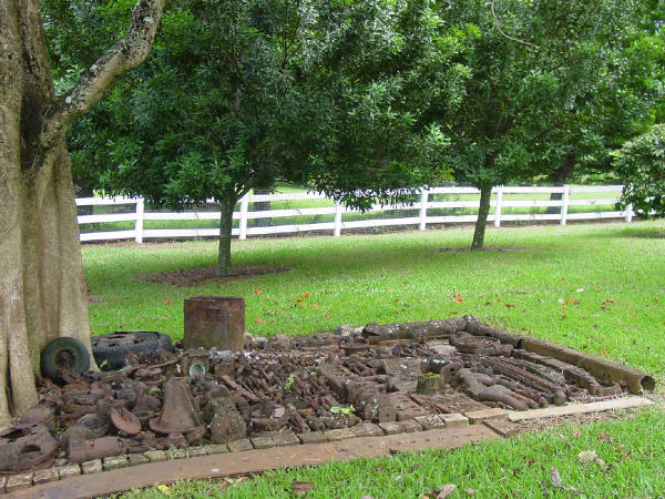 Macadamia Nut trees behind the relics