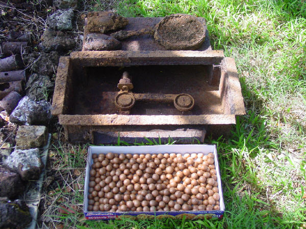 Macadamia Nuts and relic cooking stove