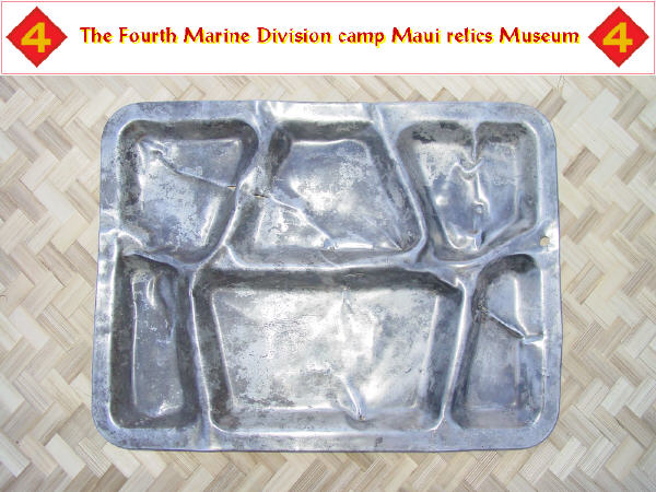 Stainless steel food tray