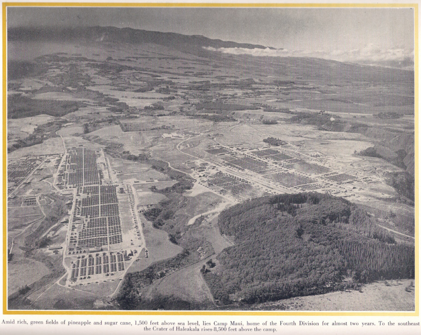 The Fourth Marine Division camp Maui