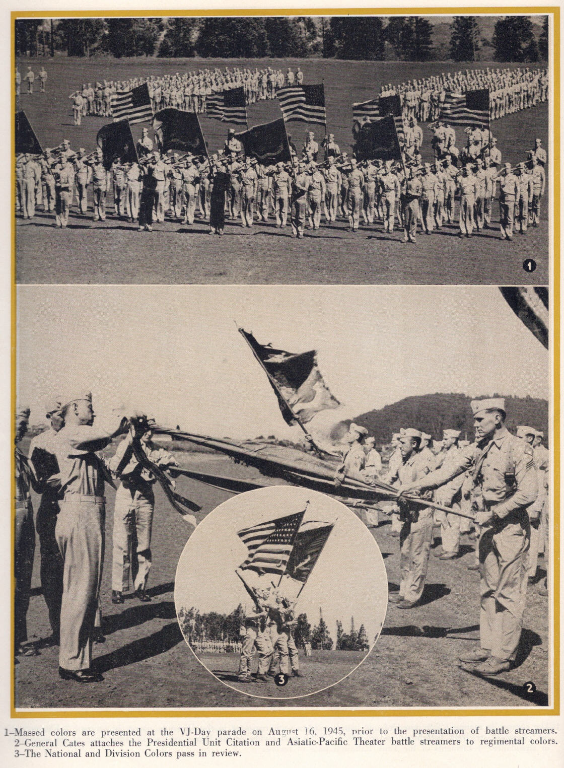 The Fourth Marine Division camp Maui